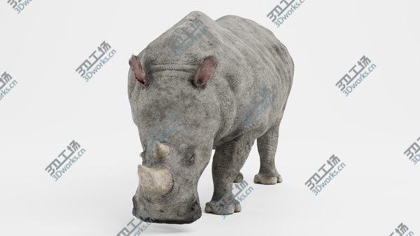 images/goods_img/20210312/3D White Rhinoceros/4.jpg